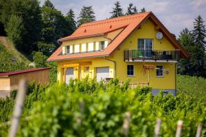 ガムリッツにあるFerienwohnung Weingut Birnstinglの黄色の屋根