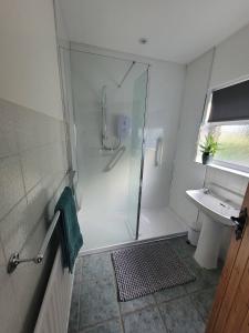 a bathroom with a shower and a sink at Loughinvar, Newtownards in Newtownards