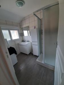 uma pequena casa de banho com um chuveiro e um lavatório. em Gîte Les Grands Prés em Frontenard