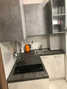 a kitchen with a sink and a counter top at Blue Sky in Skopje