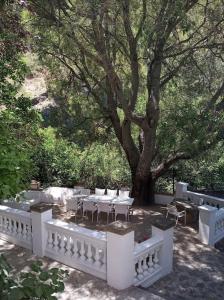 einen Tisch und Stühle unter einem Baum in der Unterkunft Casa Fuente de Rechita in La Iruela
