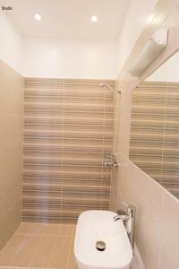 a bathroom with a white toilet in a room at Aria Apartments in Spetses