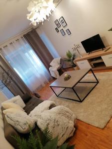 a living room with a couch and a coffee table at Masaryss apartament Tulcea in Tulcea