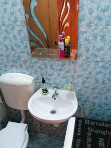 a bathroom with a sink and a toilet and a mirror at Masaryss apartament Tulcea in Tulcea