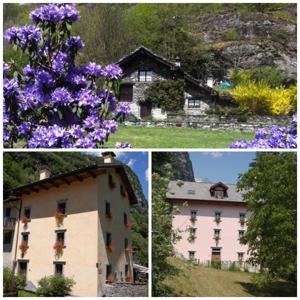 three pictures of a building and a tree with purple flowers at Le Primule in Piedilago