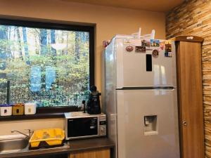 a kitchen with a refrigerator and a microwave and a window at Casa Tivoli in Sovata