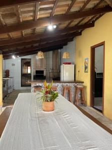 a kitchen with a table with a potted plant on it at chacara sombra da mata01 in Pirenópolis