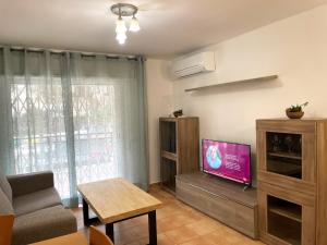 TV a/nebo společenská místnost v ubytování Apartamento Tortosa