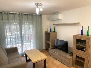 TV a/nebo společenská místnost v ubytování Apartamento Tortosa