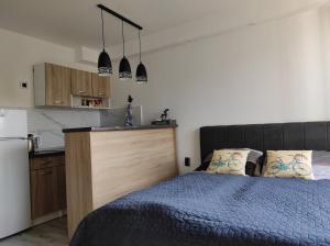 Dapur atau dapur kecil di Cozy studio Cik-Cak