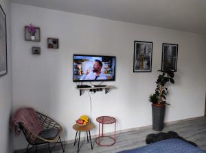TV a/nebo společenská místnost v ubytování Cozy studio Cik-Cak