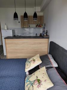 Dapur atau dapur kecil di Cozy studio Cik-Cak
