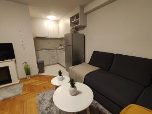 sala de estar con sofá y 2 mesas en Studio Apartman Luka, en Zagreb