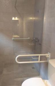 ein Bad mit einem WC und einer Duschkabine in der Unterkunft Casa Fisher in Vendas Novas