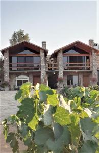 a house with large green plants in front of it at Villa Quinta Estrella in Ensenada