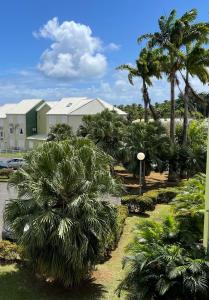 a park with palm trees and a building at Jarry Entre Chien et Loup in Baie-Mahault