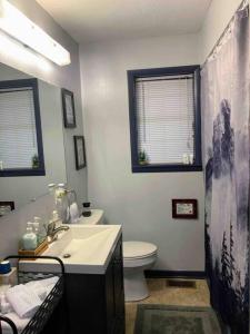 ein Bad mit einem Waschbecken, einem WC und Fenstern in der Unterkunft Maggie’s lil Cottage in Sampson