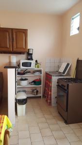 a small kitchen with a stove and a microwave at La Pause Randonnée de Grand'Rivière in Grandʼ Rivière