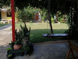 a swing with plants and a bench in a yard at Milin Guesthouse in Chiang Rai
