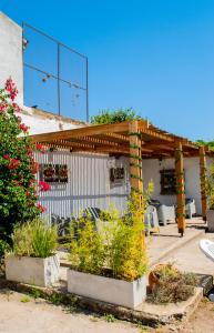 eine Terrasse mit einer Pergola und einigen Pflanzen in der Unterkunft Doña Margarita in Chascomús