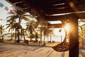 eine Hängematte an einem Strand mit Palmen und dem Sonnenuntergang in der Unterkunft Hotel Luna De Plata Mahahual in Mahahual