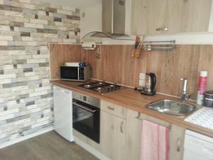 uma cozinha com um lavatório e um fogão forno superior em LES HERISSONS em Étricourt-Manancourt