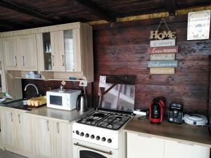 uma cozinha com um fogão e um micro-ondas em Casa ERICKA em Vama Veche