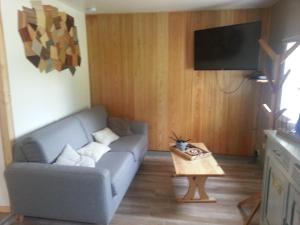 a living room with a couch and a tv at LES HERISSONS in Étricourt-Manancourt