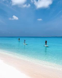 three people on surfboards in the water on a beach at Blue Coral Vashafaru Maldives in Vashafaru