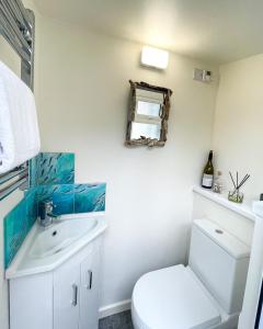 a bathroom with a toilet and a sink and a mirror at Cotswold Coombe Cottage in Wotton under Edge +37 photos