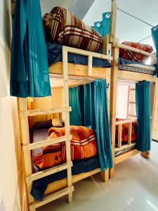 a bunk bed room with two bunk beds at Backpackers Headquarter Manali in Manāli