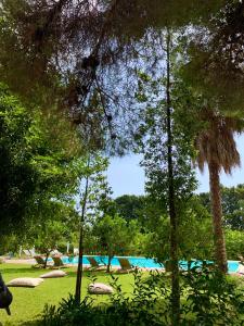 a beach filled with lots of green grass and trees at Chiusa Di Carlo Agriturismo in Avola