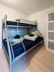 1 Schlafzimmer mit 2 Etagenbetten in einem Zimmer in der Unterkunft Den 1 Hengelhoef in Aan de Wolfsberg