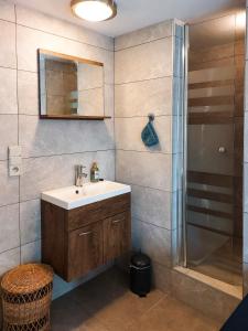a bathroom with a sink and a shower at Den 1 Hengelhoef in Houthalen-Helchteren