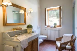 Un baño con lavabo, inodoro y espejo. en Poggio di San Biagio, en Cantagrillo 30 fotos más