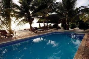 a blue swimming pool with palm trees and the ocean at Moonshine Uroa Boutique Hotel in Uroa