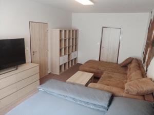 TV a/nebo společenská místnost v ubytování Králíky apartmán
