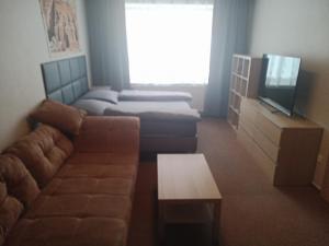 TV a/nebo společenská místnost v ubytování Králíky apartmán + 2 fotografie