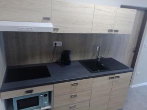Kuchyň nebo kuchyňský kout v ubytování Králíky apartmán