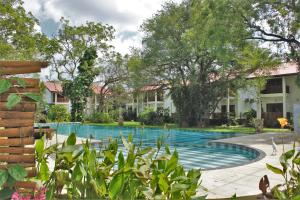 a swimming pool in a yard with trees and houses at Blue Turtle Hotel in Tissamaharama