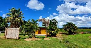a house in a field with palm trees at Ariami Rose in Aguada