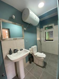 La salle de bains est pourvue d'un lavabo et de toilettes. dans l'établissement Agroturizem Hotel Vila Franceze, à Koman