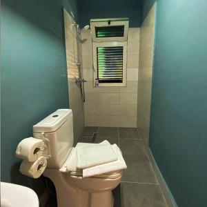 a bathroom with a white toilet and a shower at Agroturizem Hotel Vila Franceze in Koman