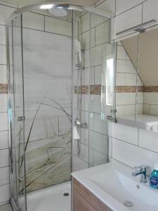 La salle de bains est pourvue d'une douche, d'un lavabo et d'un miroir. dans l'établissement Ferienwohnung Kreider, à Dagebüll