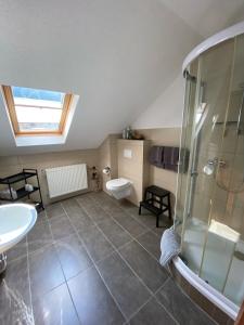 Un baño con ducha, inodoro y lavabo. en Haus am Hang, en Bernkastel-Kues
