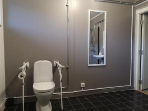 a bathroom with a toilet and a mirror at Norra NY Hostel in Stöllet