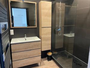 ein Bad mit einem Waschbecken und einer Dusche in der Unterkunft Appartement 42 m2 à Vittel proche Thermes-SPA in Vittel