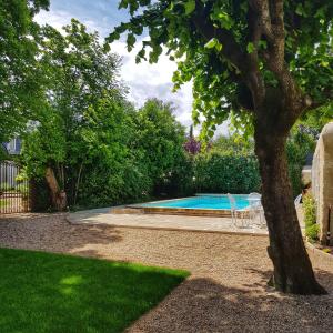 a swimming pool with two chairs and a tree at Le Clos d'Amboise in Amboise