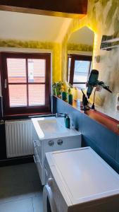 a bathroom with a sink and a mirror at Froeschlein 2 - no Gitters & craftsman in Ilmenau