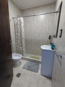 een badkamer met een douche, een wastafel en een toilet bij Depto para turistas - Mago Blanco in Godoy Cruz